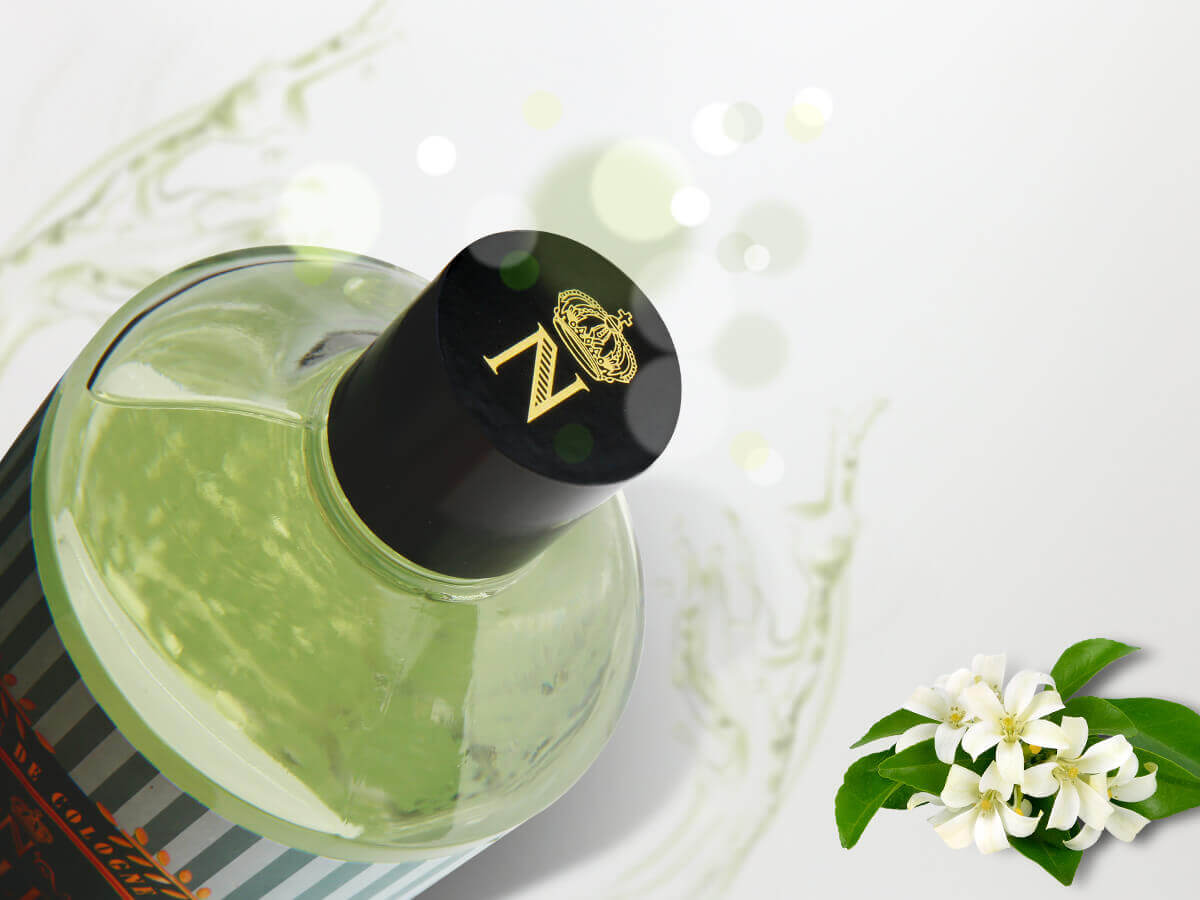 Visuel1_PourVisualisation